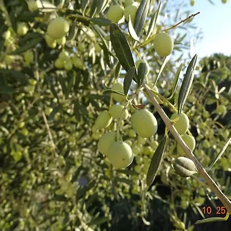 Casa vacanze Luxury Sea View With Pool Agios Aimilianos Porto Heli