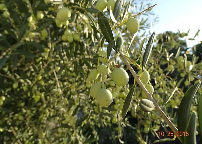 Дом отдыха Luxury Sea View With Pool Agios Aimilianos Порто Хели